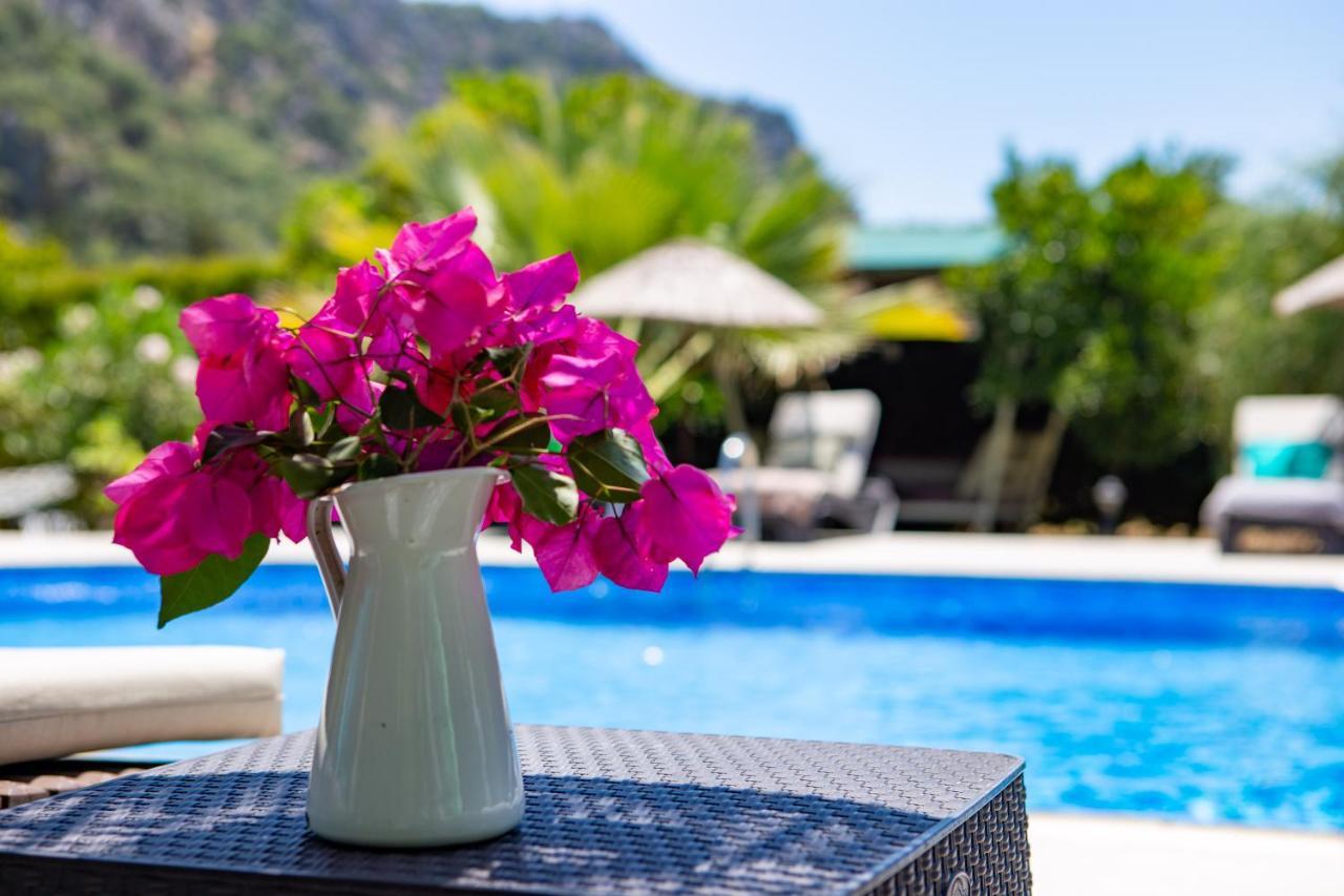 Portalimo Lodge Hotel - Adult Only +12 Çıralı Exterior foto