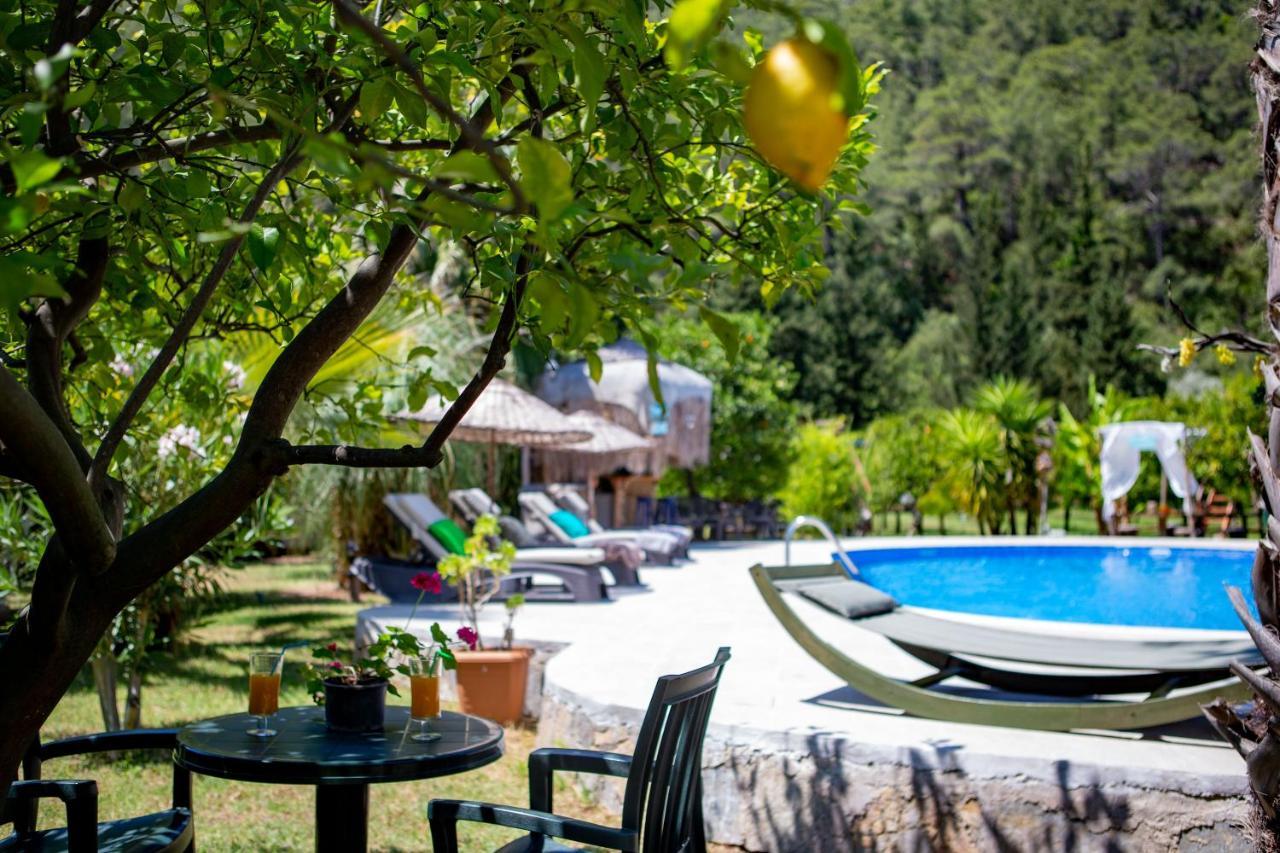 Portalimo Lodge Hotel - Adult Only +12 Çıralı Exterior foto