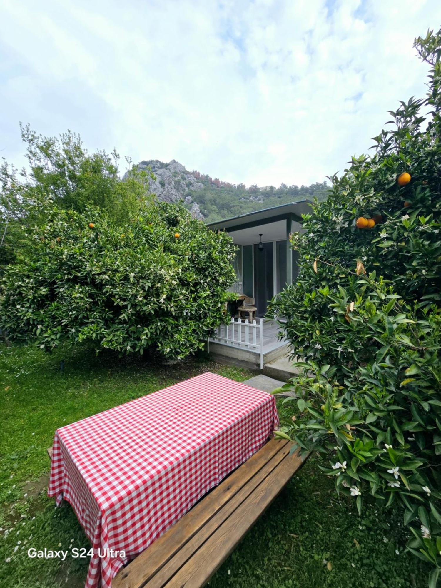Portalimo Lodge Hotel - Adult Only +12 Çıralı Exterior foto